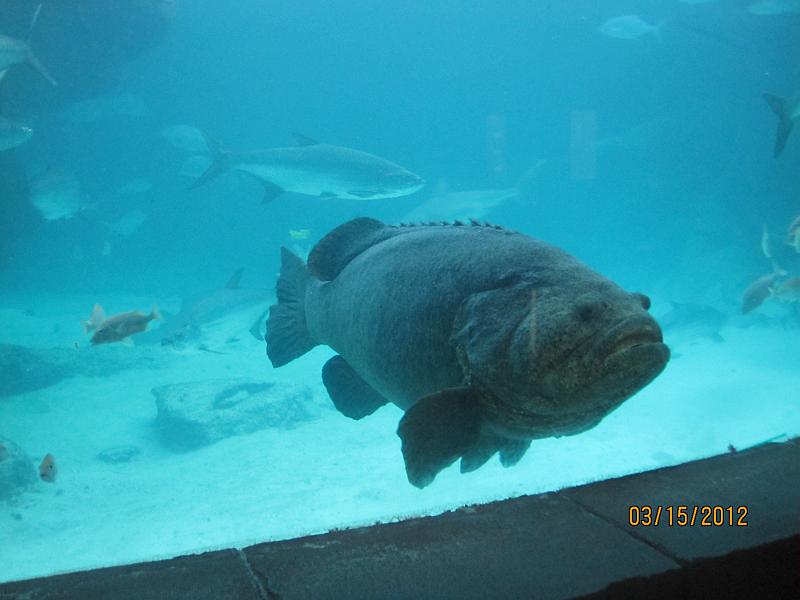 Picture 052